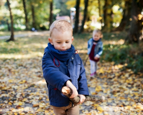 Nature-Rich Play