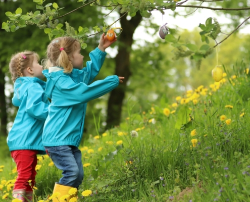 Nature Play